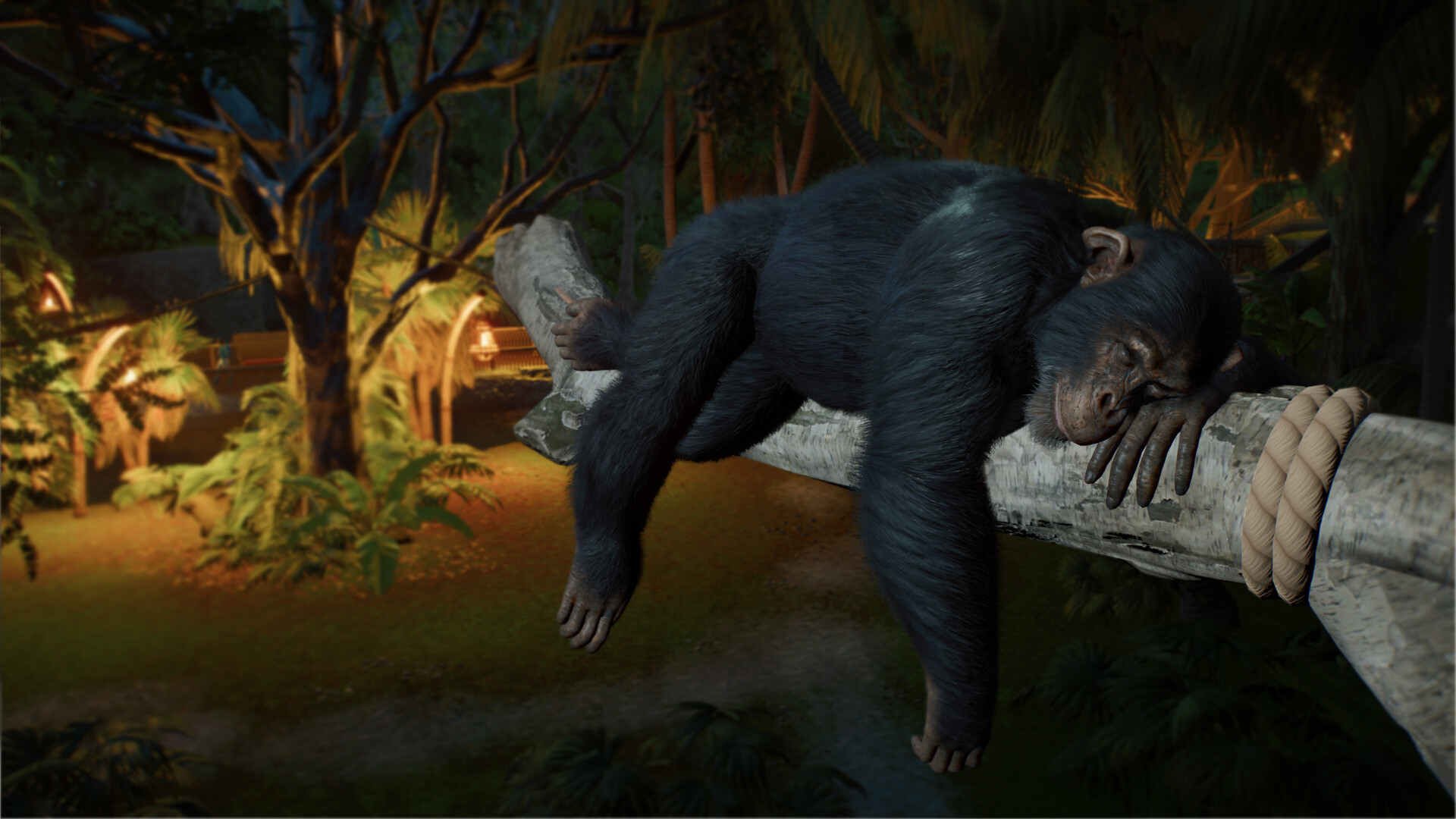 An official Planet Zoo 2 in-game promotional screenshot published by Frontier Developments.