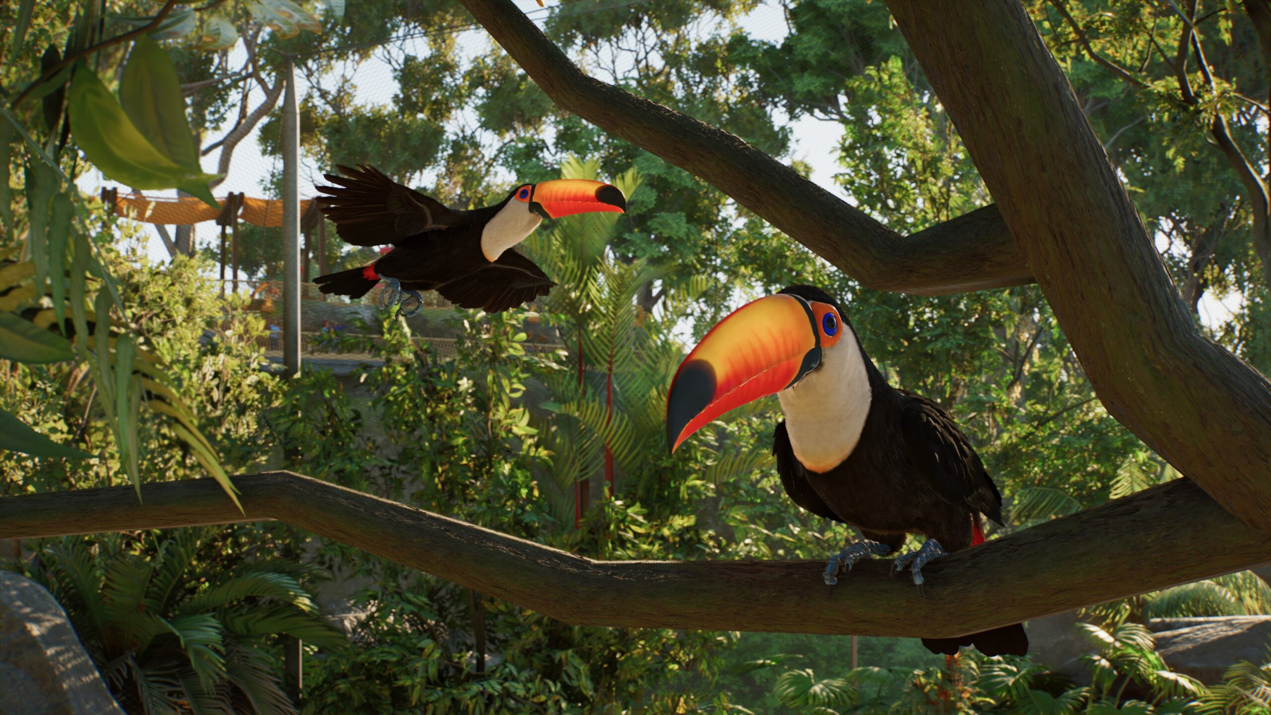 Two Toco toucans perched in the lush forest aviary of Planet Zoo 2.